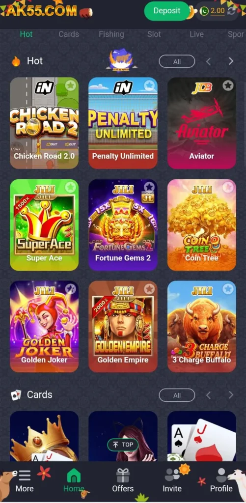 ak55-game-interface
