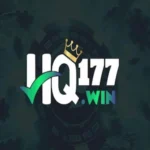 hq177-game