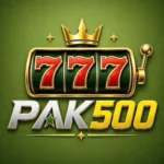 pak500-game