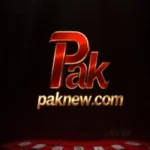paknew-game